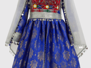 Royal Blue Embroidered Ethnic Dress
